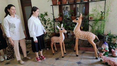 Samarqand tuman politexnikumida "Ijod zavqi" loyixasida rassom va xaykaltaroshlar ijodida ishtirok etishdi